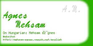 agnes mehsam business card